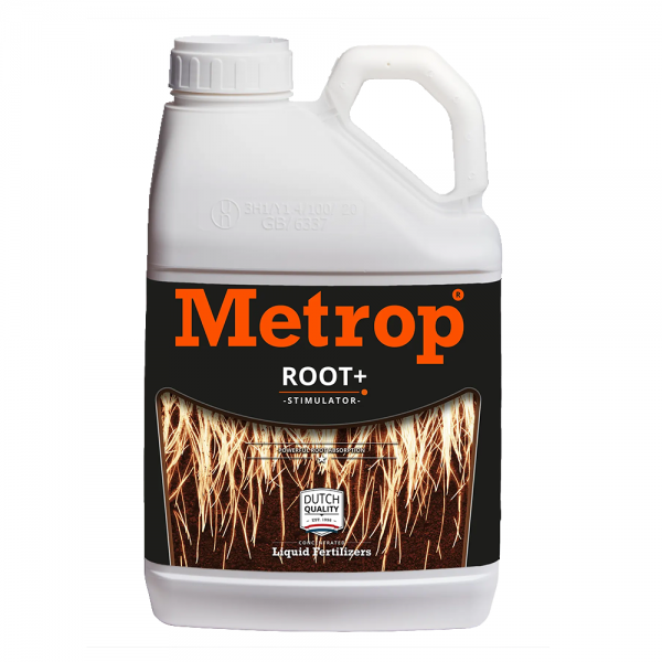 METROP Root+ 