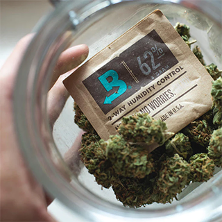 BOVEDA Feuchtigkeitspad - 1g / 4g / 8g / 67g