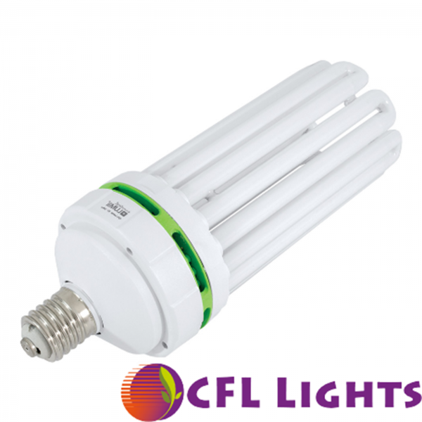 CFL Lights Energiesparlampe 250 Watt rotes Licht 