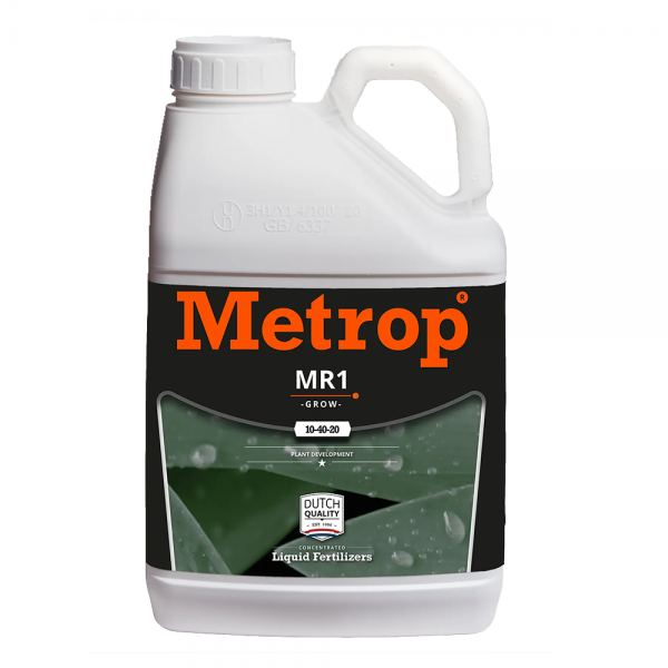 METROP MR2 Blüte