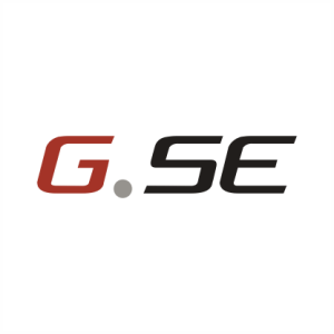 GSE