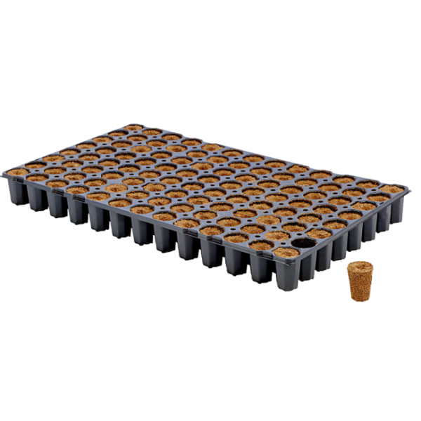 Easy Plug Stecklingskeile - Tray mit 104 Stk.