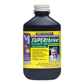 SUPERThrive Vitaminlösung - 120ml