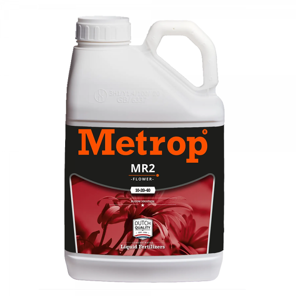 METROP MR2 Blüte